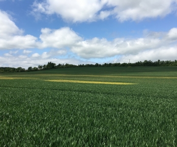 Promotions Within The Catesby Team